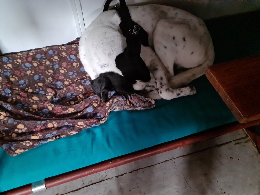 Bruno all'interno del Bivacco Jack Canali