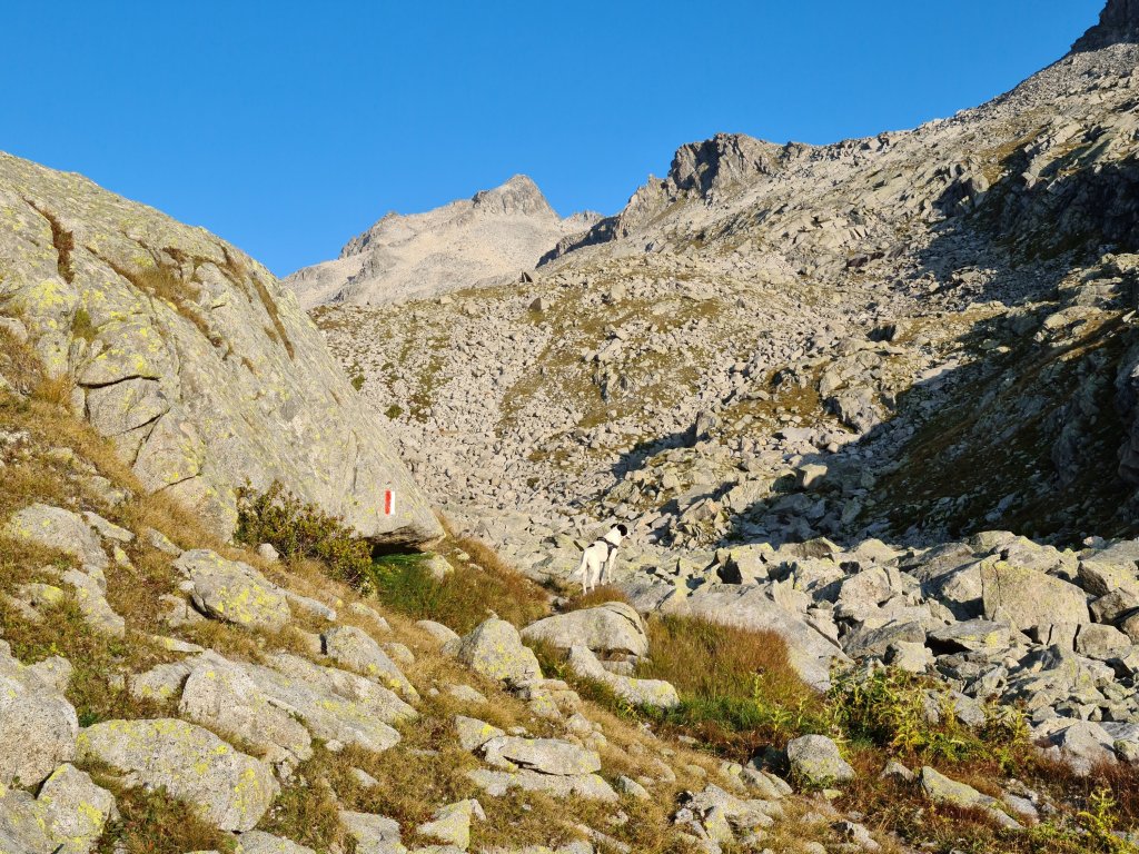 Sentiero 239 verso il Lago Vedretta tra le rocce