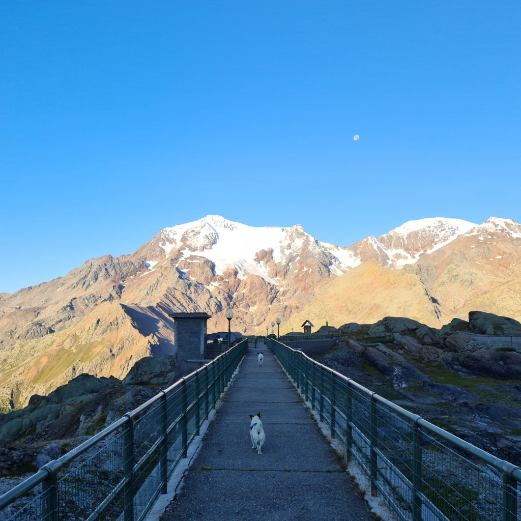 Passerella lungo il sentiero nei pressi del Lago del Careser