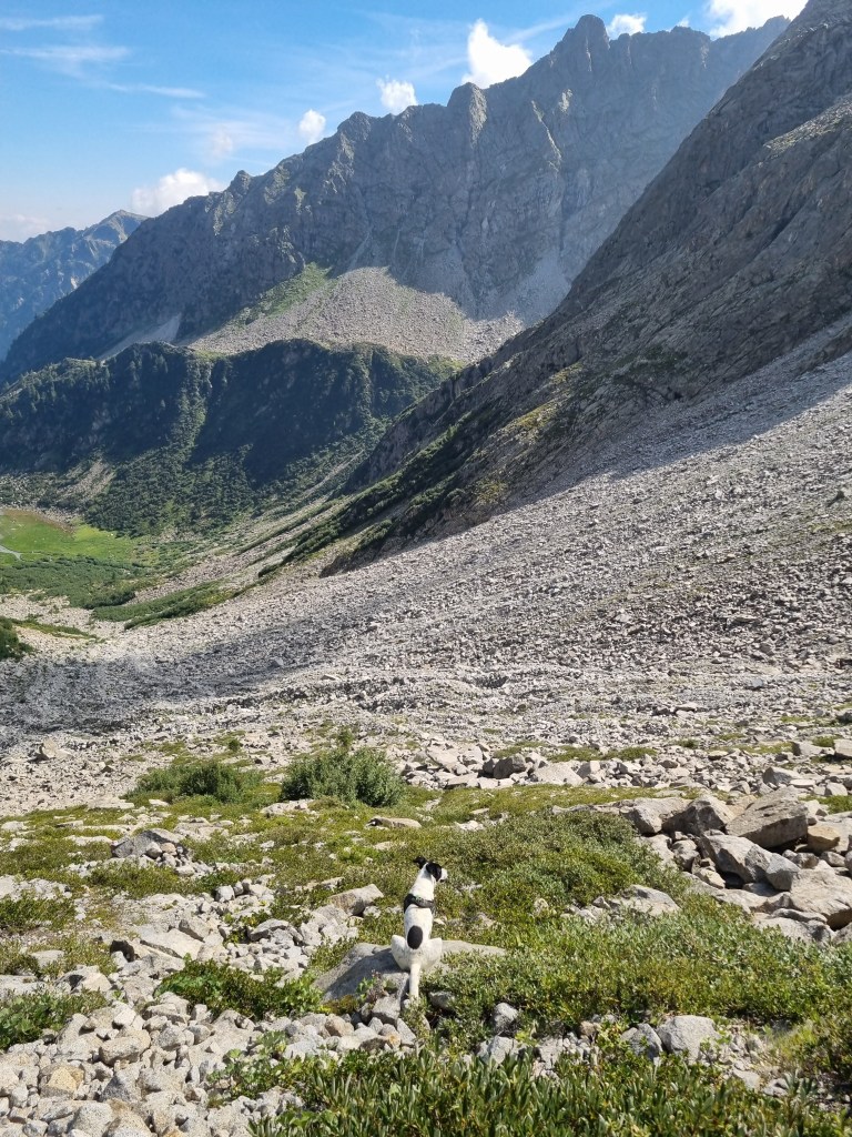 Bruno sul terreno detritico sotto il Bivacco Jack Canali
