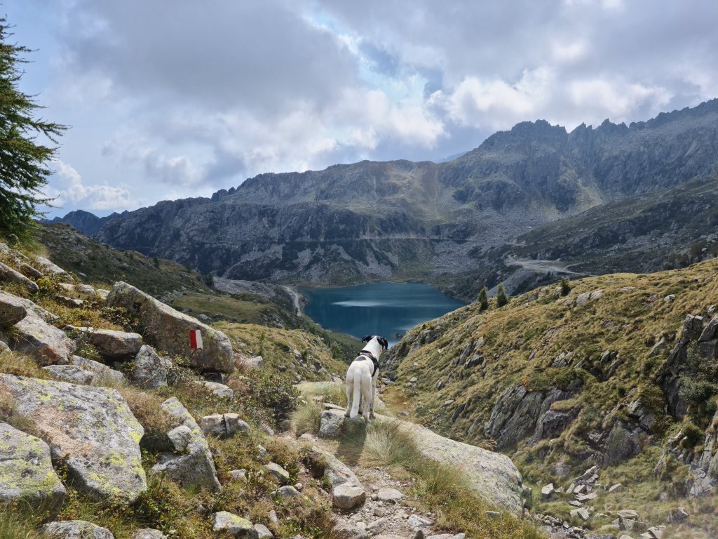 Bruno sul sentiero 216 verso i Laghi di Cornisello