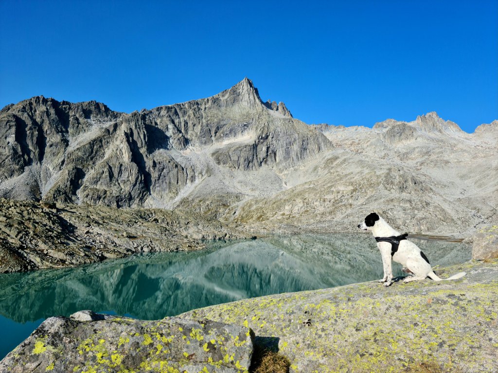 Bruno sulle rocce davanti al Lago Vedretta
