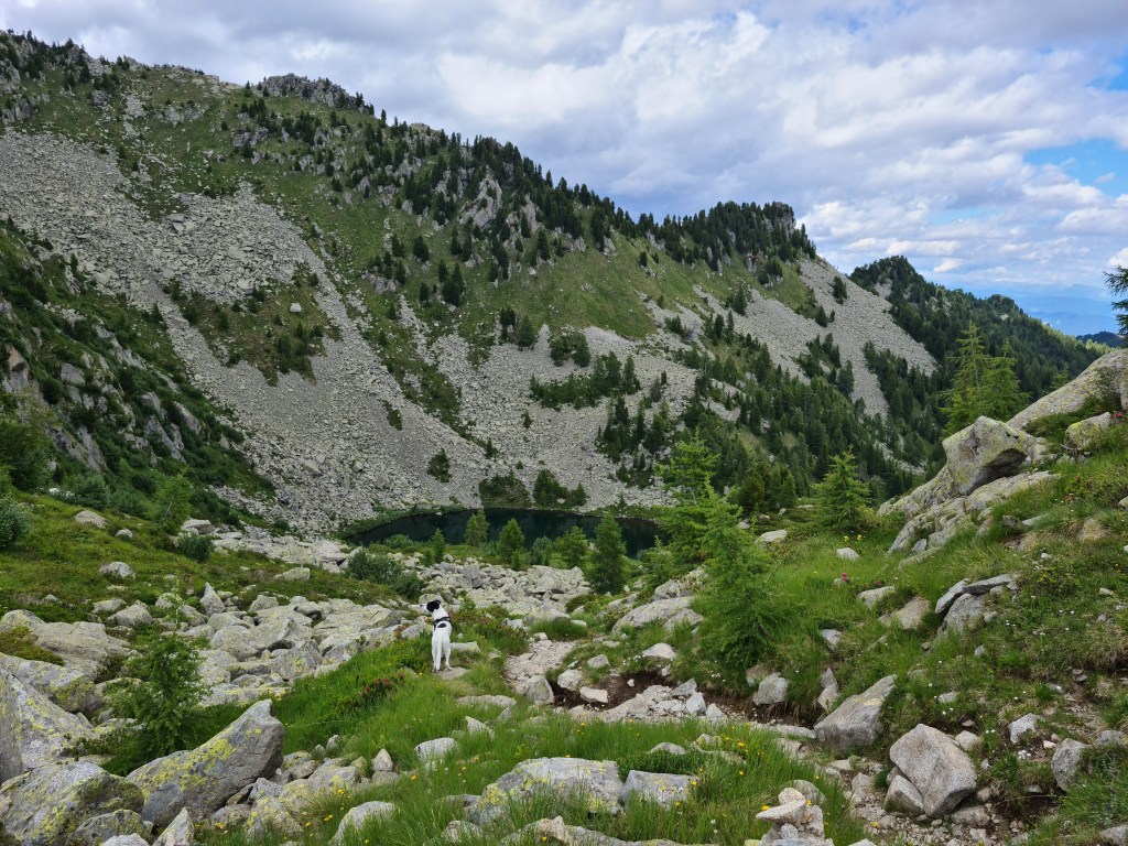 Lago Alto nel gruppo della Presanella
