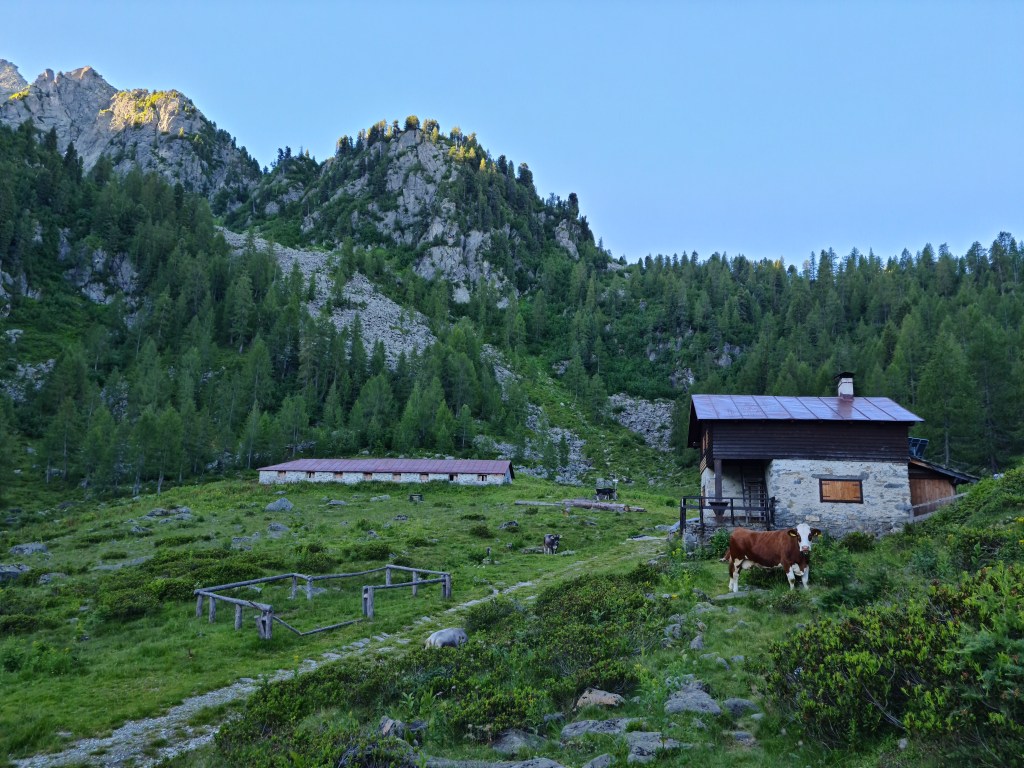 Malga Artuich lungo l'escursione dalla Val di Sole