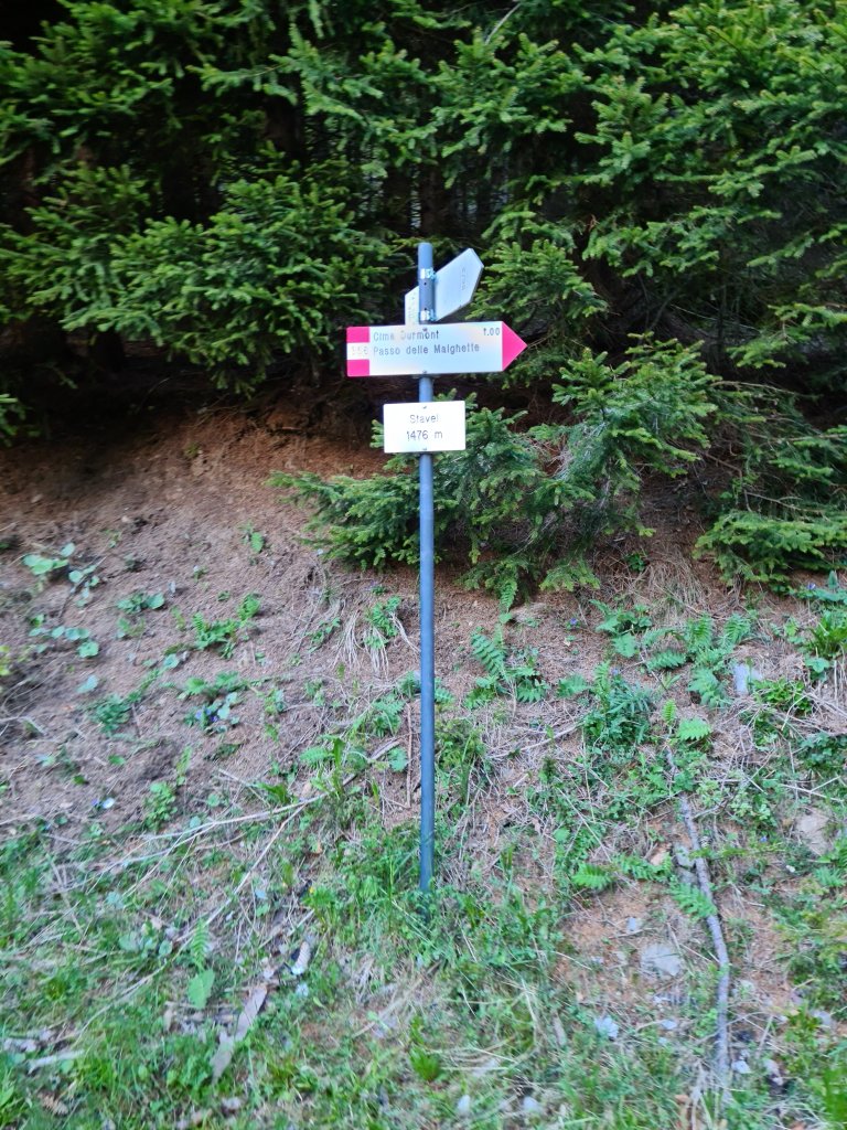 Segnavia nel bosco lungo l’anello di Cima Durmont