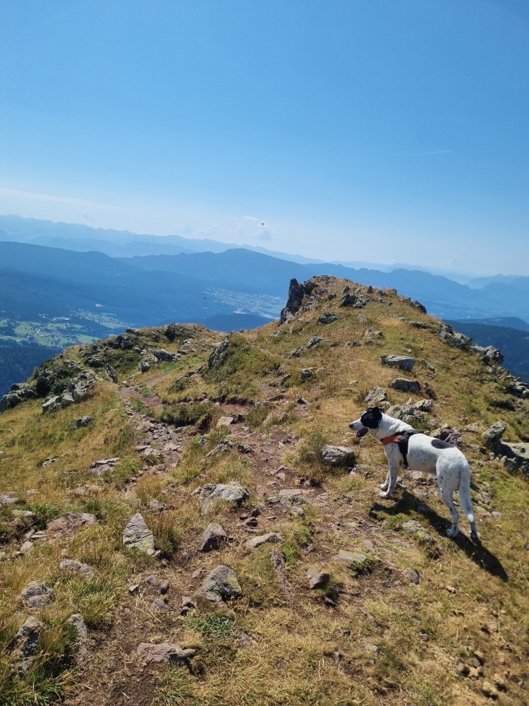 Bruno sul sentiero 8A durante la discesa dal Monte Luco