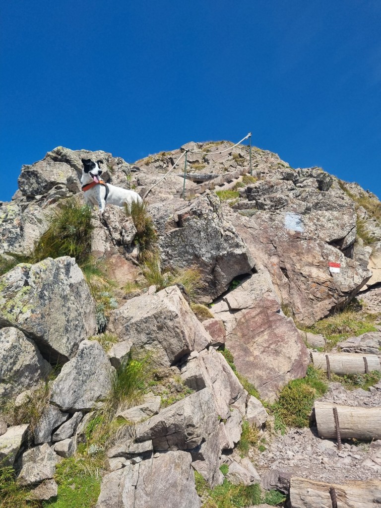Bruno affronta un passaggio roccioso attrezzato sul Monte Luco