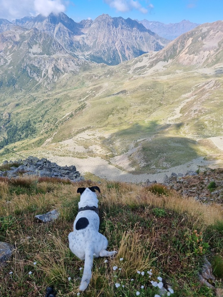 Bruno osserva il panorama durante un'escursione al Monte Ometto