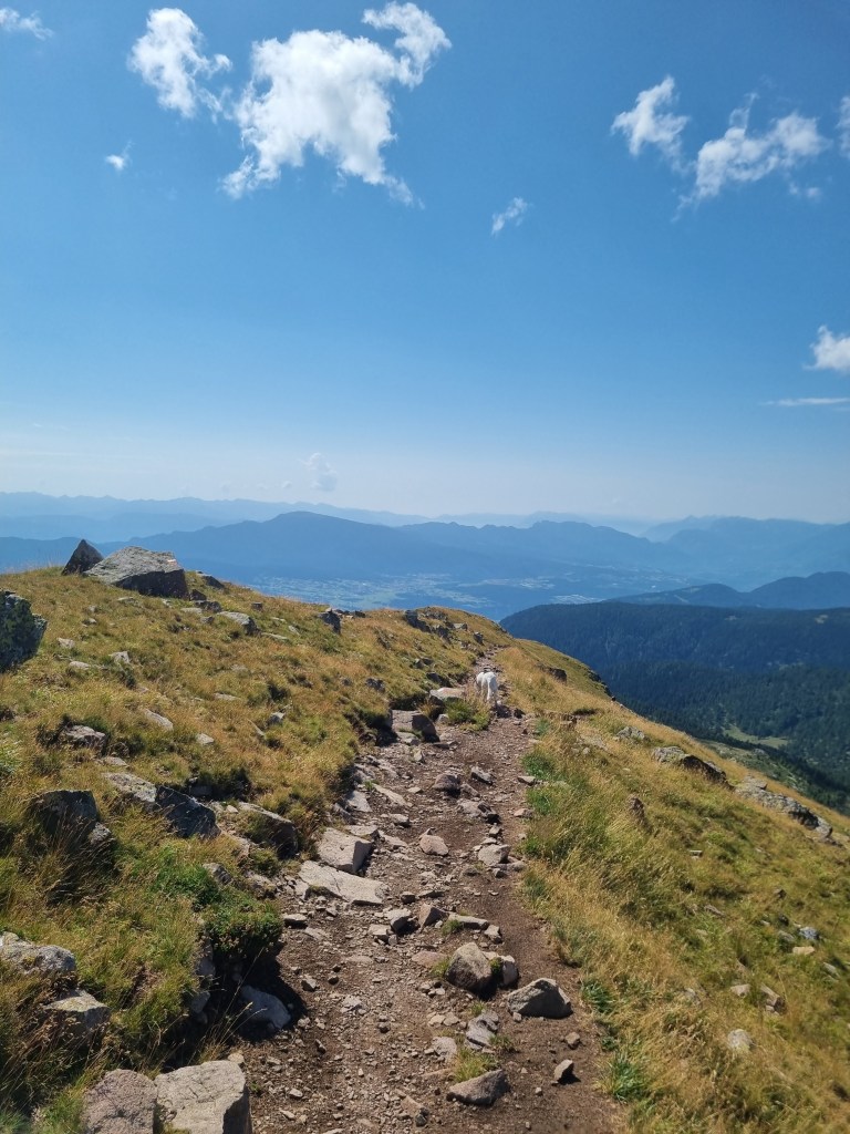 Sentiero 8A panoramico durante la discesa dal Monte Luco