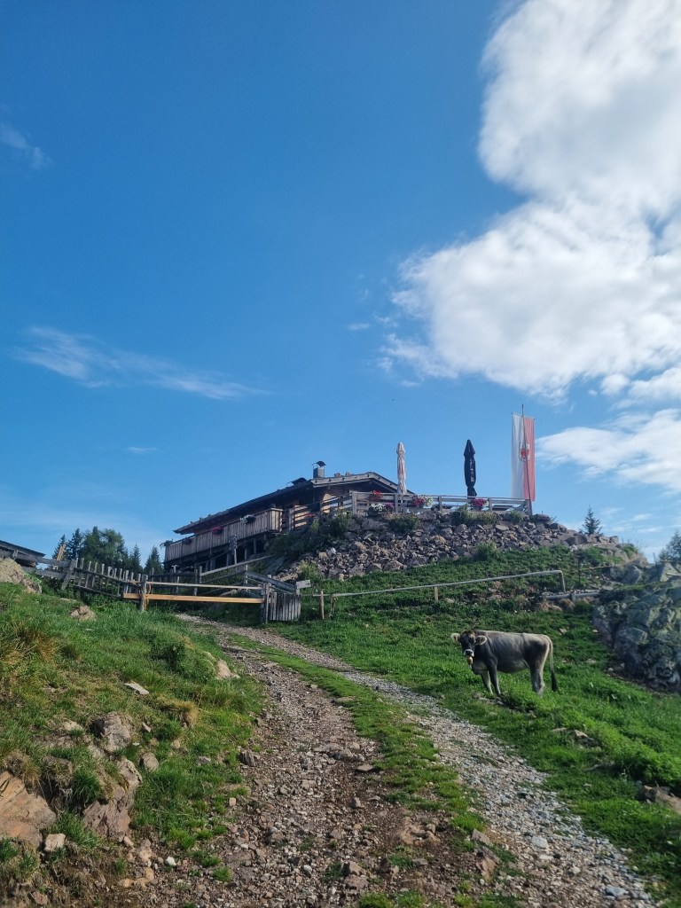 Gfrillner Laugenalm a 1.838 metri lungo la salita al Monte Luco