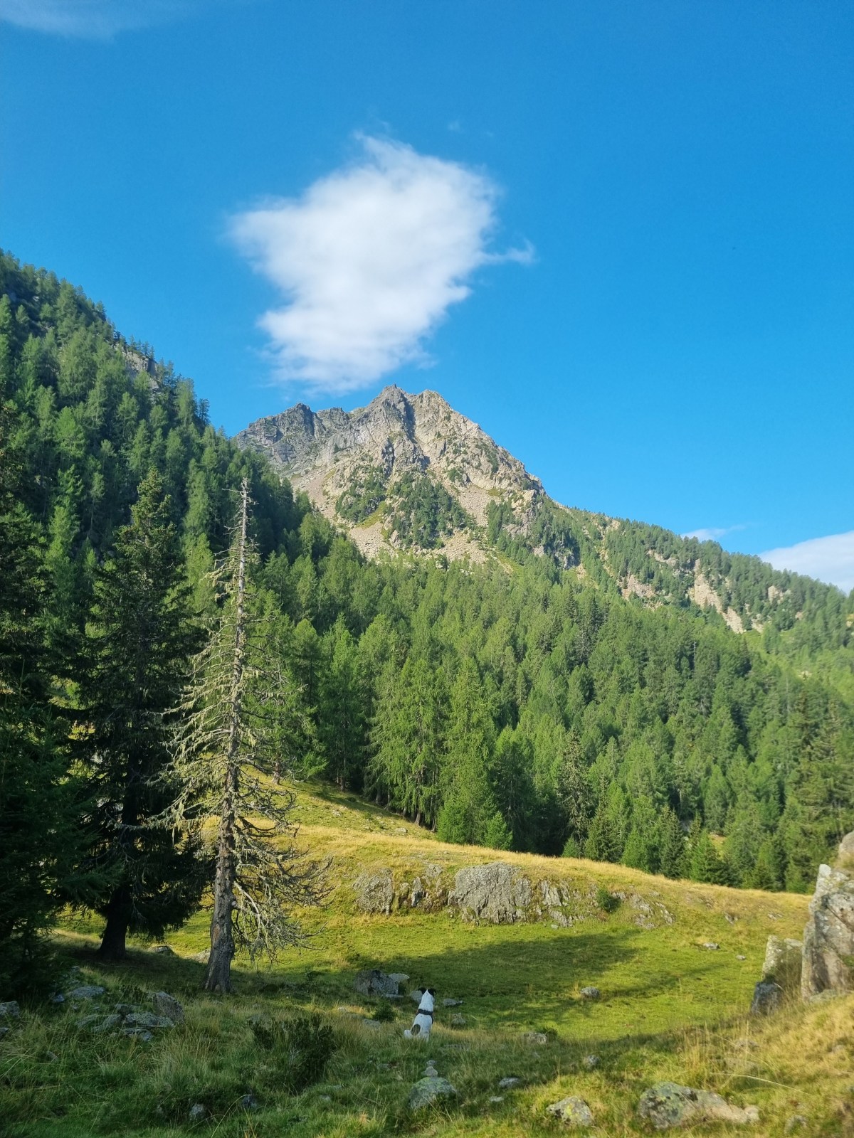 Monte Luco (Laugenspitze) da Perlkraling via Gfrillner&nbsp;Laugenalm