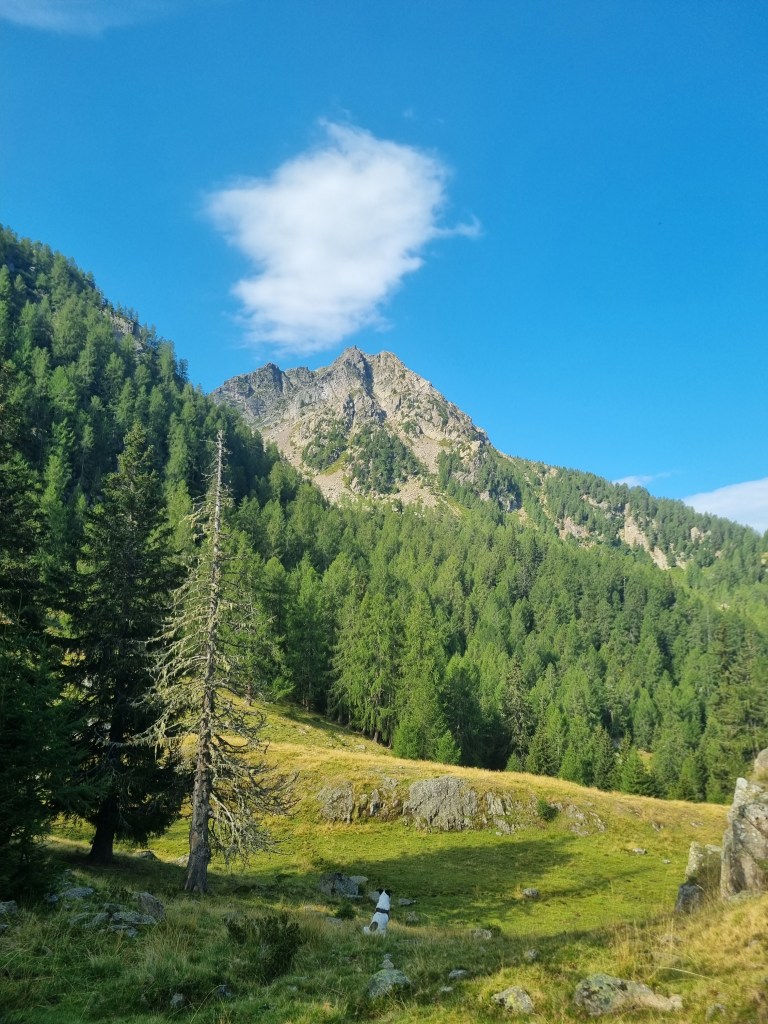 Monte Luco lungo la salita sul sentiero 10