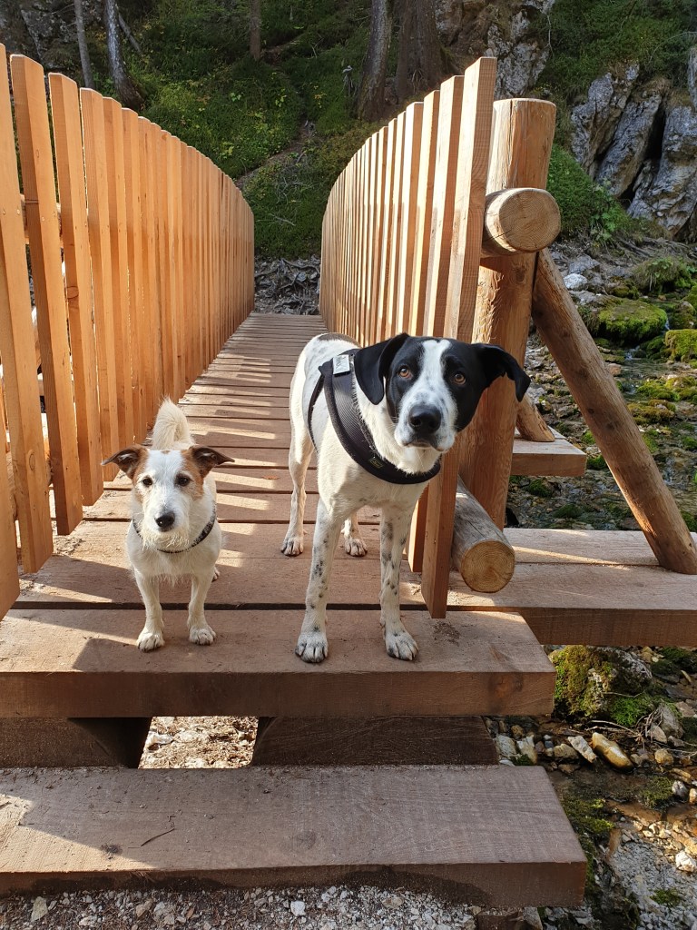 Nano e Bruno sul percorso delle Cascate di Vallesinella