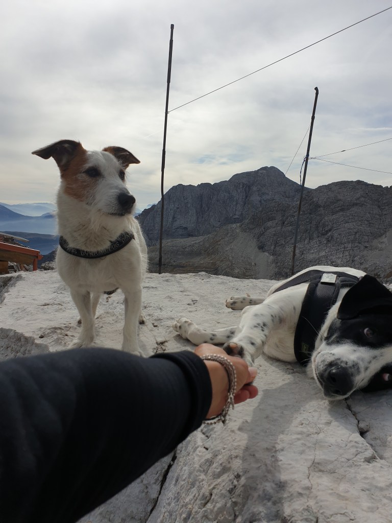Nano e Bruno al Rifugio Tosa Pedrotti nelle Dolomiti di Brenta
