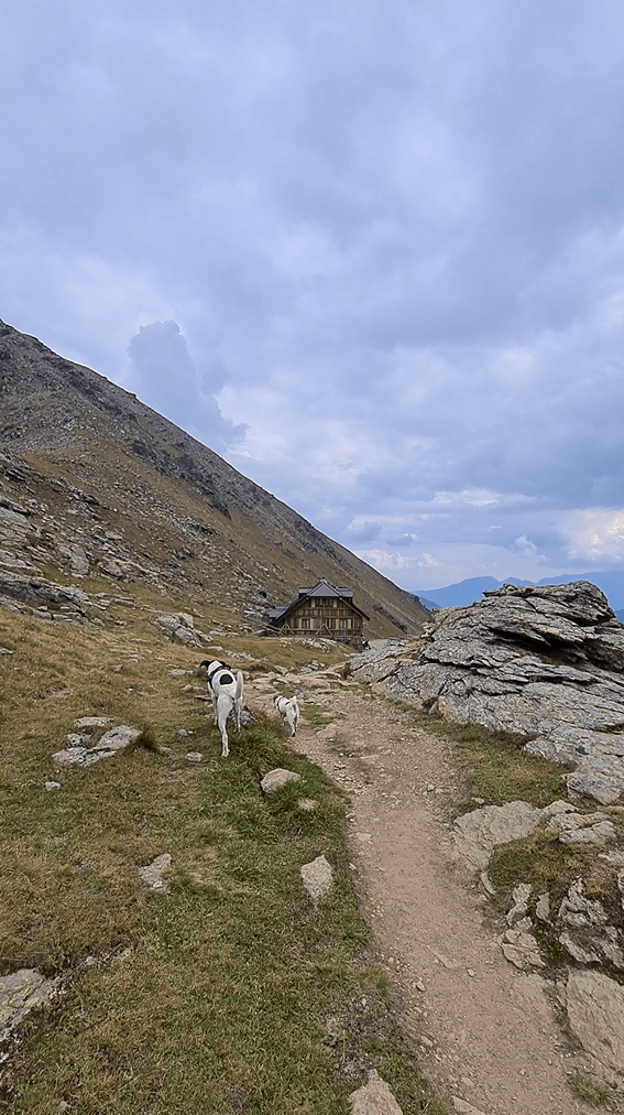 Ritorno al Rifugio Stella Alpina al Lago Corvo con Nano e Bruno