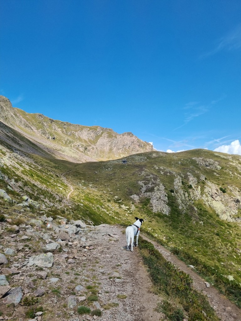 Bruno sul sentiero 133 verso il Lago del Luco