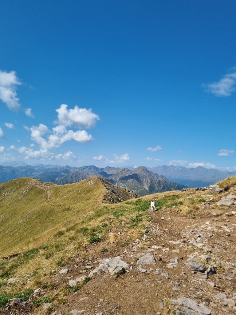 Bruno sul sentiero 8A durante la discesa dal Monte Luco