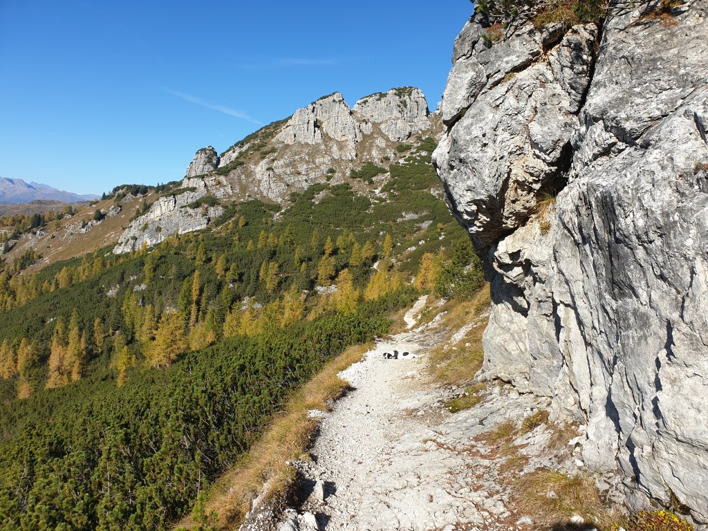 Sentiero in discesa dal Rifugio ai Brentei verso Vallesinella