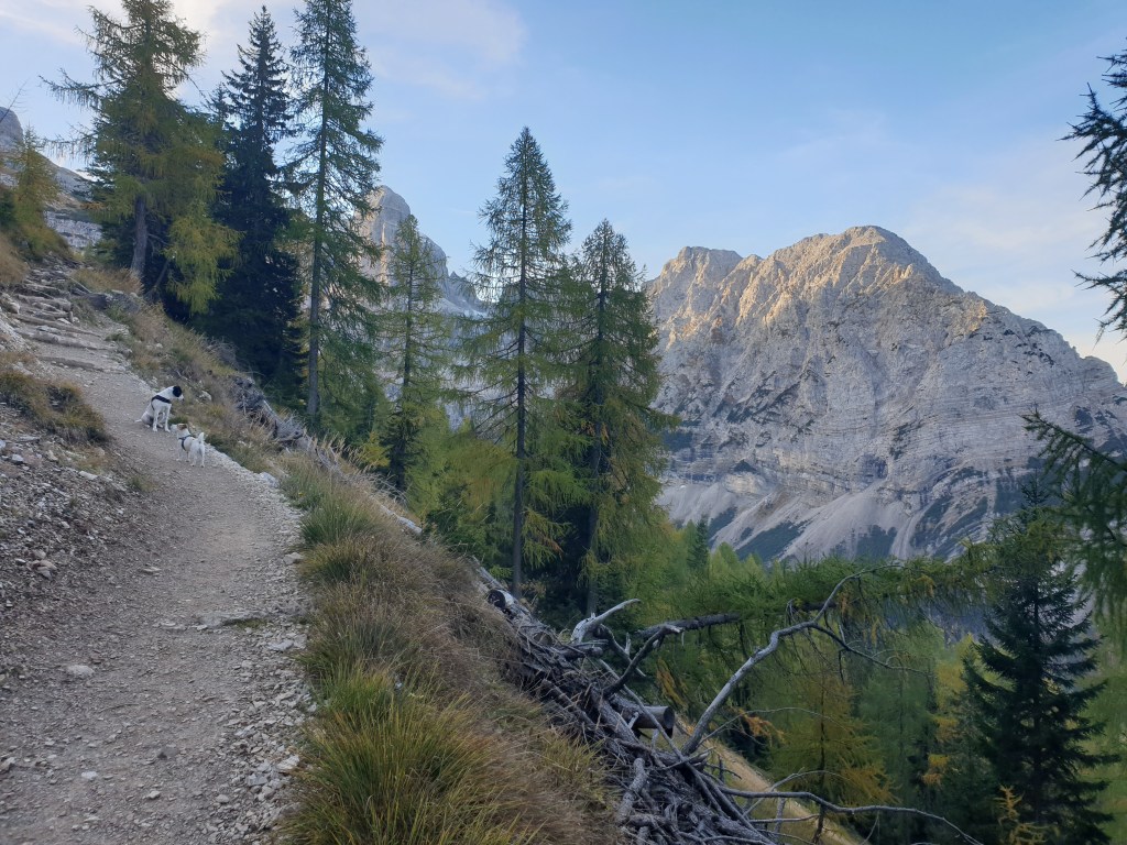 Nano e Bruno sul sentiero 318 tra il Rifugio Casinei e la Valle del Fridolin