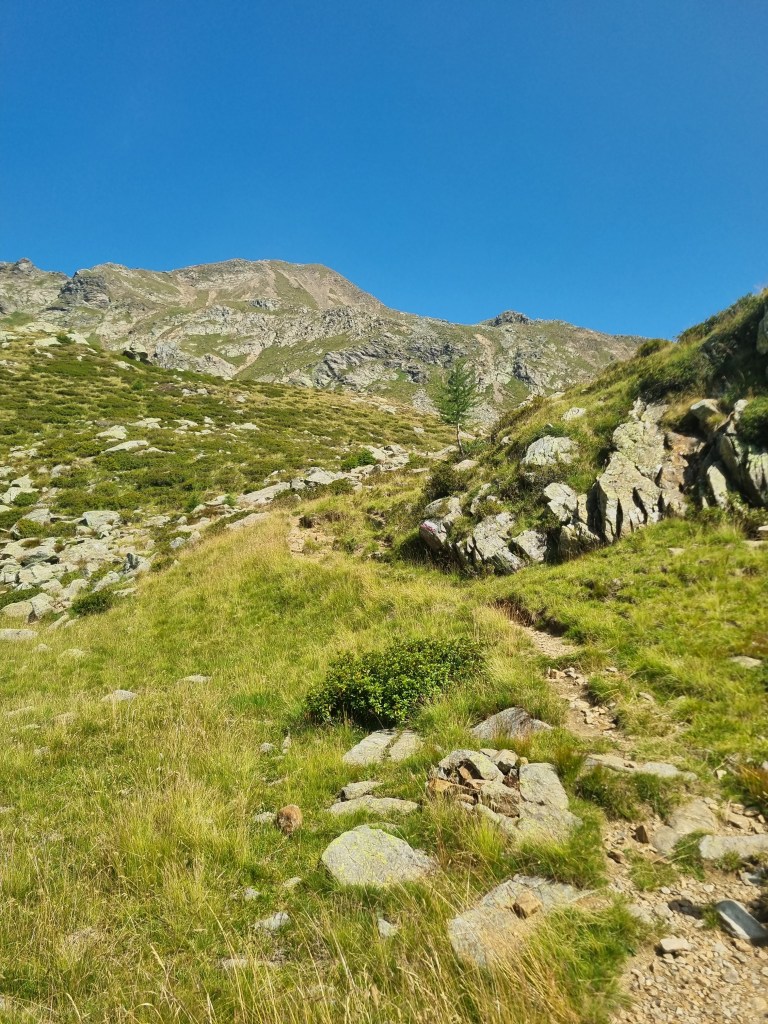 Sentiero verso la Vedetta Alta nella Catena delle Maddalene
