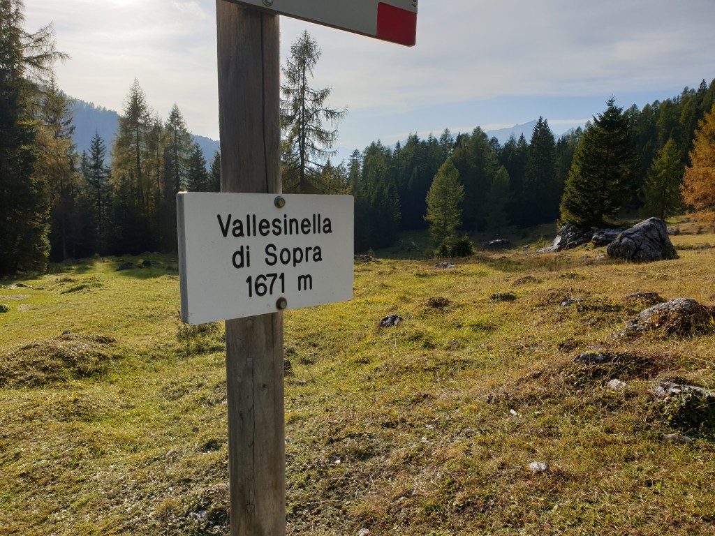 Malga Vallesinella di Sopra a 1.671 metri
