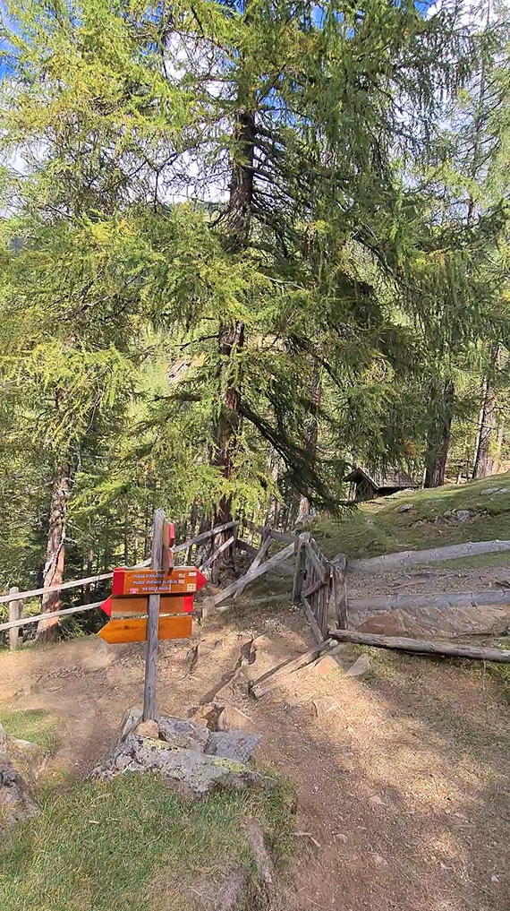 Dos de la Cros lungo il rientro verso il Coler