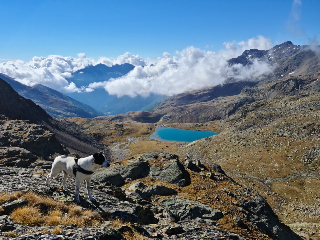 Primo Lago Sternai visto dall'alto dal sentiero verso Cima Sternai